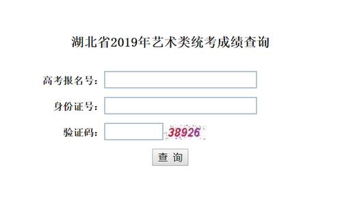 中国艺考网2013成绩查询_2020艺考成绩查询网址