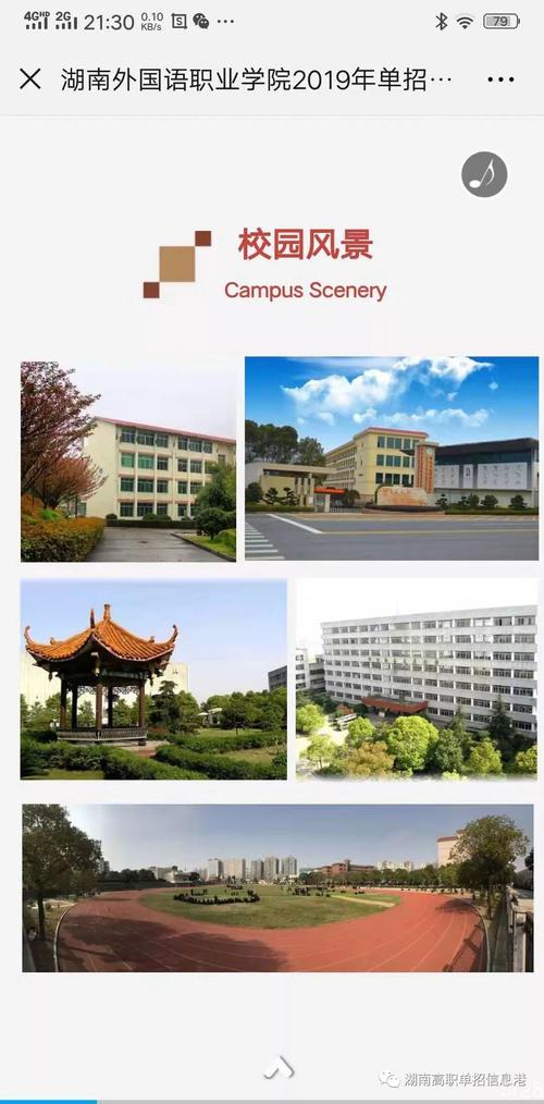 湖南外国语_湖南外国语学院是几本学院
