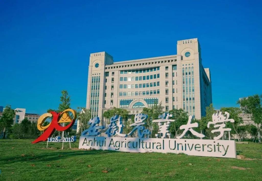 安徽农大_安徽农业大学是211还是985