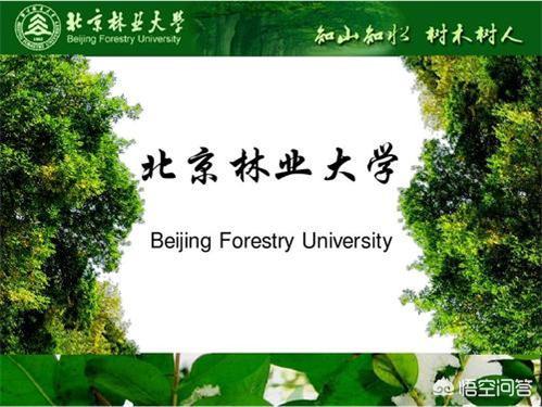 北京林业大学怎么样_北京林业大学怎么样学姐学长说说呀?